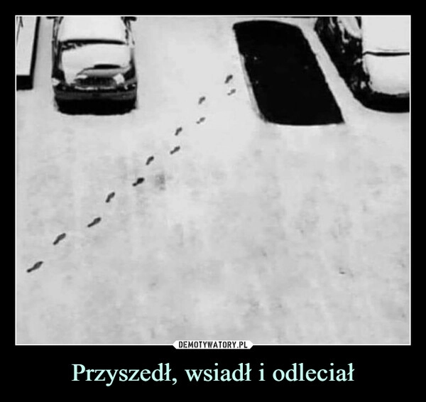 
    Przyszedł, wsiadł i odleciał