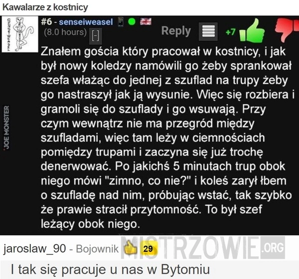 
    Kawalarze z kostnicy