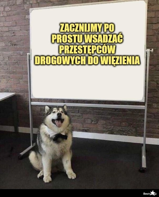 
    Przestępcy drogowi 