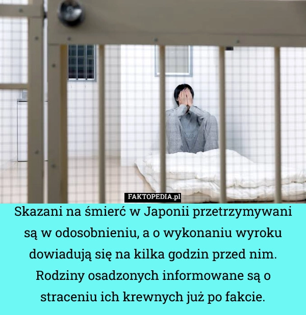 
    Skazani na śmierć w Japonii przetrzymywani są w odosobnieniu, a o wykonaniu