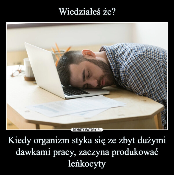 
    Wiedziałeś że? Kiedy organizm styka się ze zbyt dużymi dawkami pracy, zaczyna produkować leńkocyty 