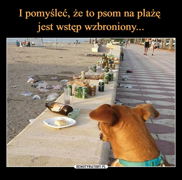 
    I pomyśleć, że to psom na plażę 
jest wstęp wzbroniony...