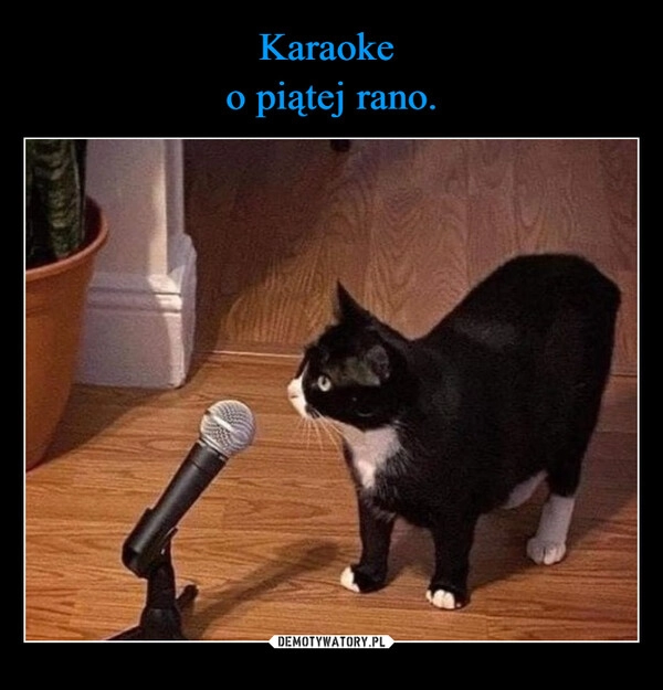 
    Karaoke 
o piątej rano.