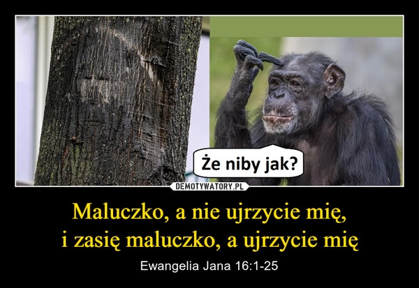 
    Maluczko, a nie ujrzycie mię,
i zasię maluczko, a ujrzycie mię