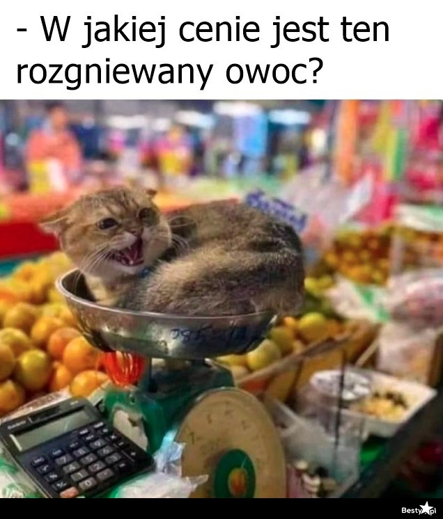 
    Rozgniewany owoc 