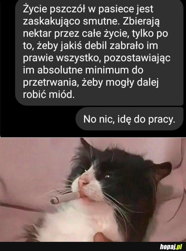 
    Smutne życie