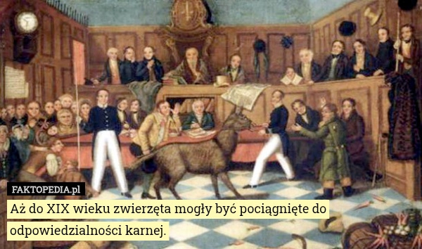 
    Aż do XIX wieku zwierzęta mogły być pociągnięte do odpowiedzialności karnej.