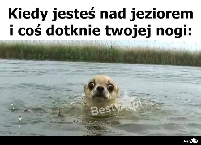 
    Wyobraźnia działa 