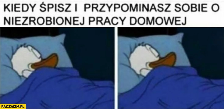 
    Kiedy śpisz i przypominasz sobie o niezrobionej pracy domowej śpi dalej niewzruszony