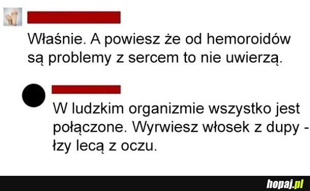 
    Wszystko połączone