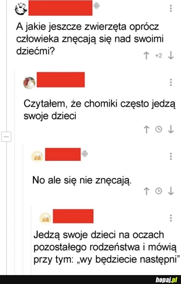 
    Złe chomiki