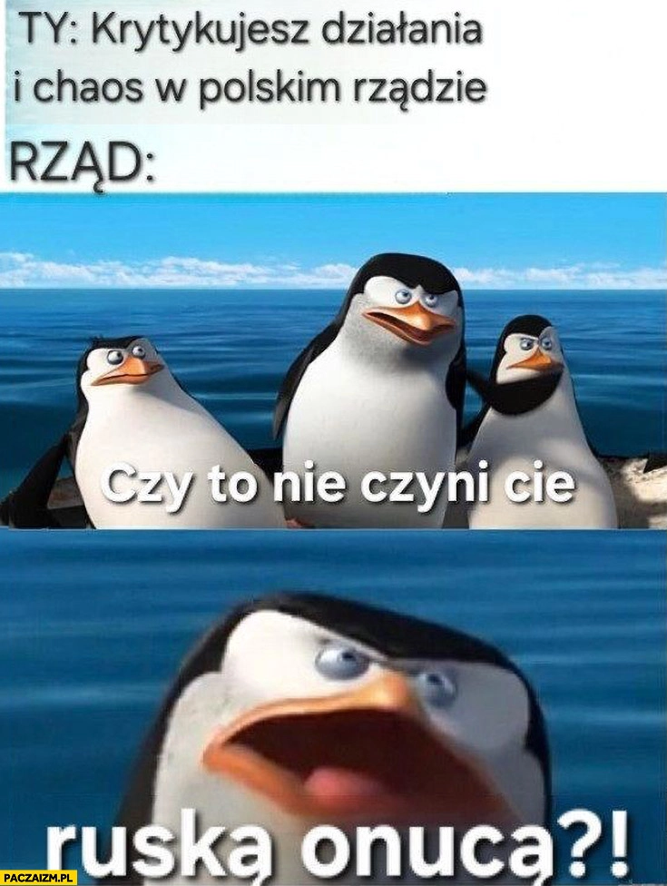 
    Ty krytykujesz działania i chaos w polskim rządzie, tymczasem rząd: czy to nie czyni cie ruską onucą?