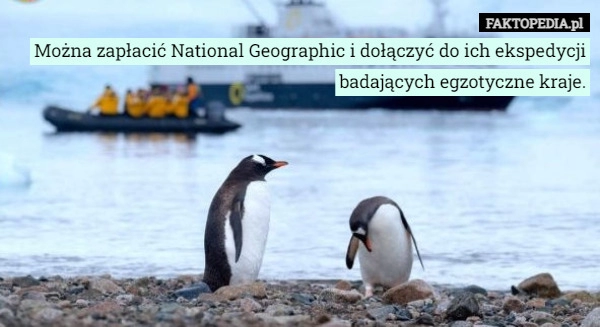 
    Można zapłacić National Geographic i dołączyć do ich ekspedycji badających