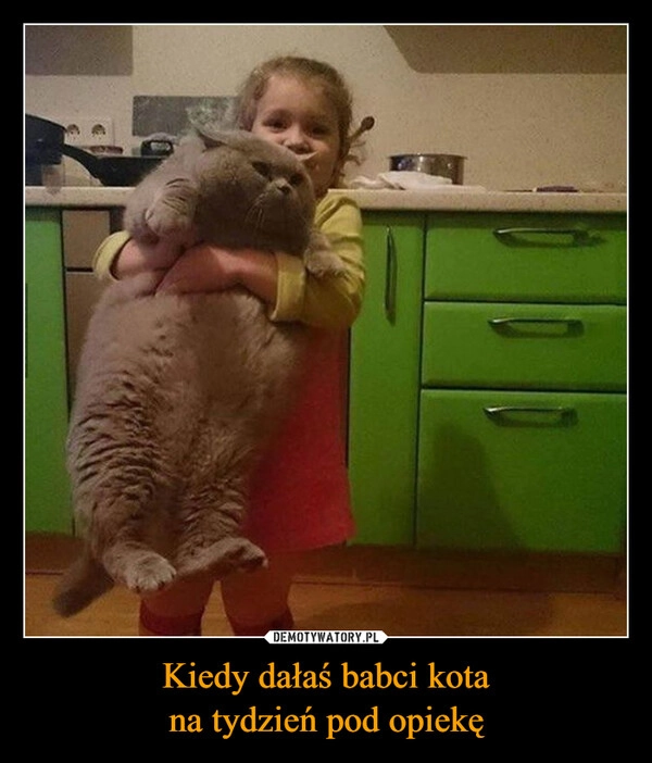
    Kiedy dałaś babci kota
na tydzień pod opiekę
