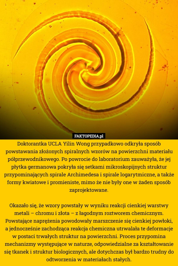 
    Doktorantka UCLA Yilin Wong przypadkowo odkryła sposób powstawania złożonych