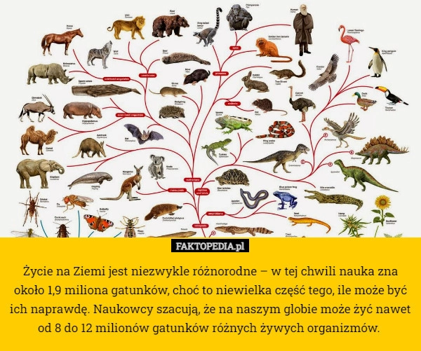 
    Życie na Ziemi jest niezwykle różnorodne – w tej chwili nauka zna około