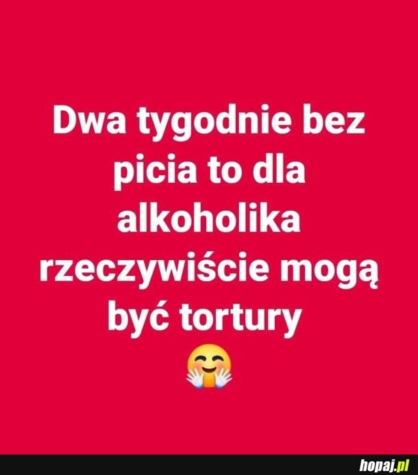 
    Arosław Kaczyński powiedział, że wobec Mariusza Kamińskiego stosowano w więzieniu tortury, a sam polityk "czuje się źle". Prezes PiS dodał, że to "decyzja osobista Tuska i on osobiście powinien za tortury w Polsce odpowiadać"