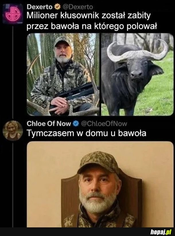 
    Polowania.