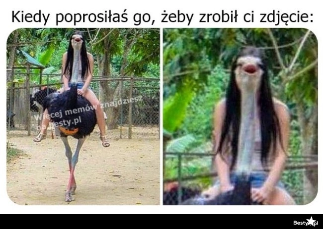 
    Trzeba przyznać, że się postarał 