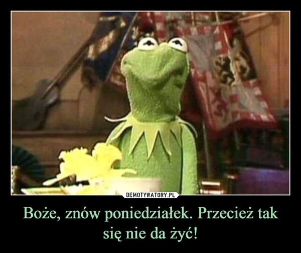 
    Boże, znów poniedziałek. Przecież tak się nie da żyć!