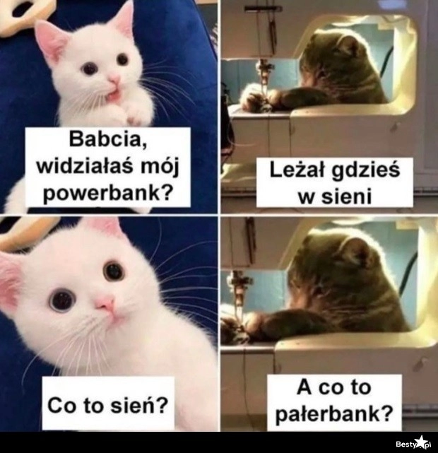 
    Różnice pokoleniowe 