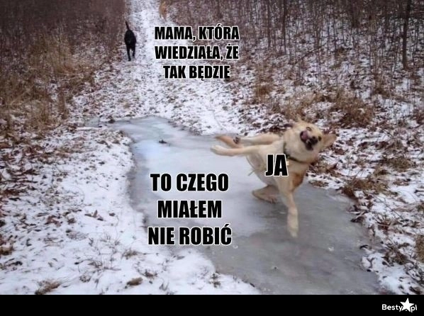 
    A nie mówiłam? 