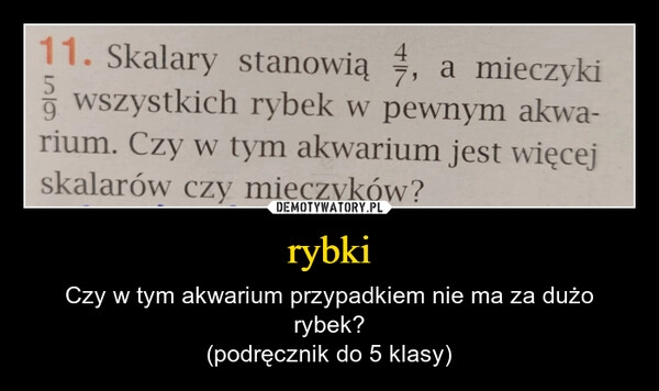 
    rybki