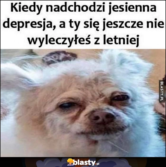 
    Kiedy nadchodzi jesienna depresja, a ty się jeszcze nie wyleczyłeś z letniej