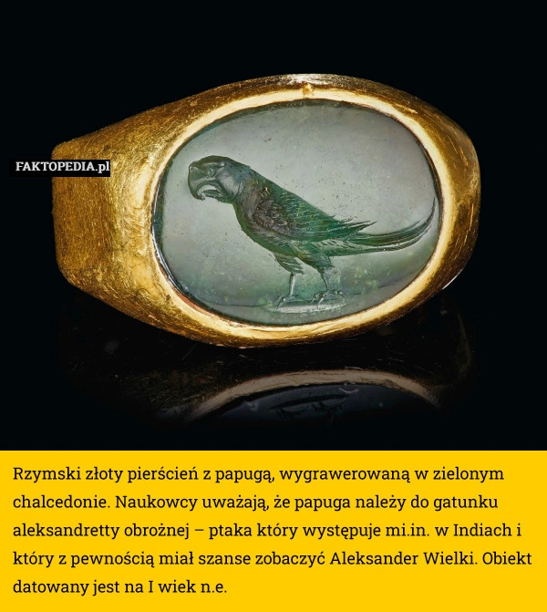 
    
			

Rzymski złoty pierścień z papugą, wygrawerowaną w zielonym chalcedonie.					