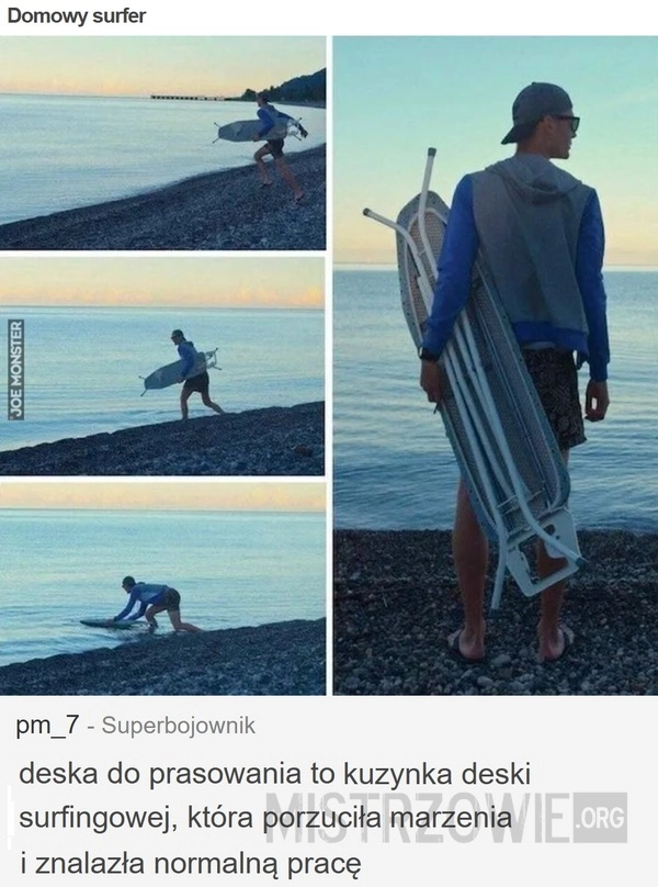 
    Domowy surfer