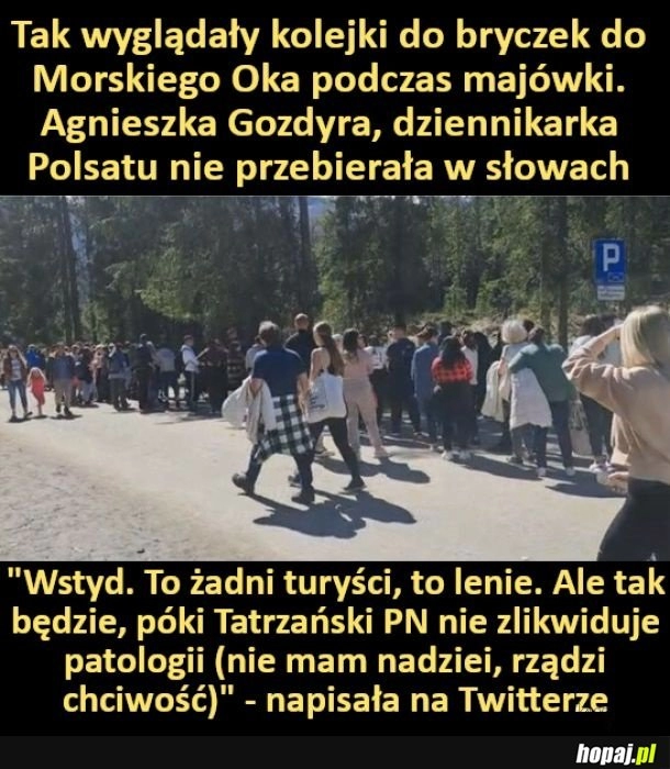 
    Tak wyglądały kolejki do bryczek podczas majówki