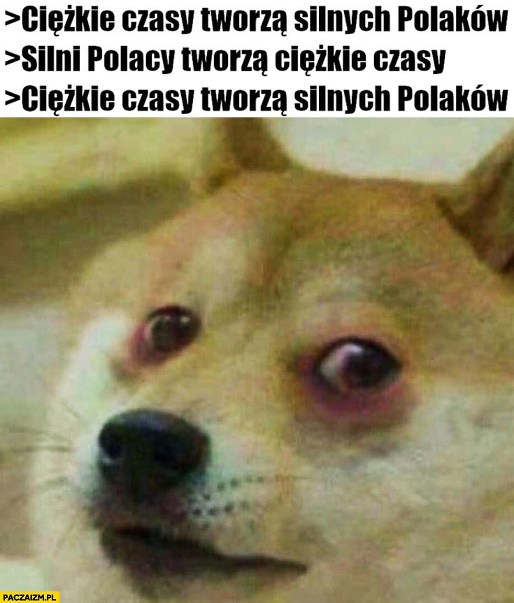 
    Ciężkie czasy tworzą silnich Polaków, silni Polacy tworzą ciężkie czasy pies pieseł doge