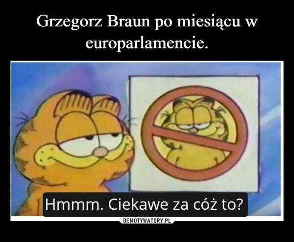 
    Grzegorz Braun po miesiącu w europarlamencie.