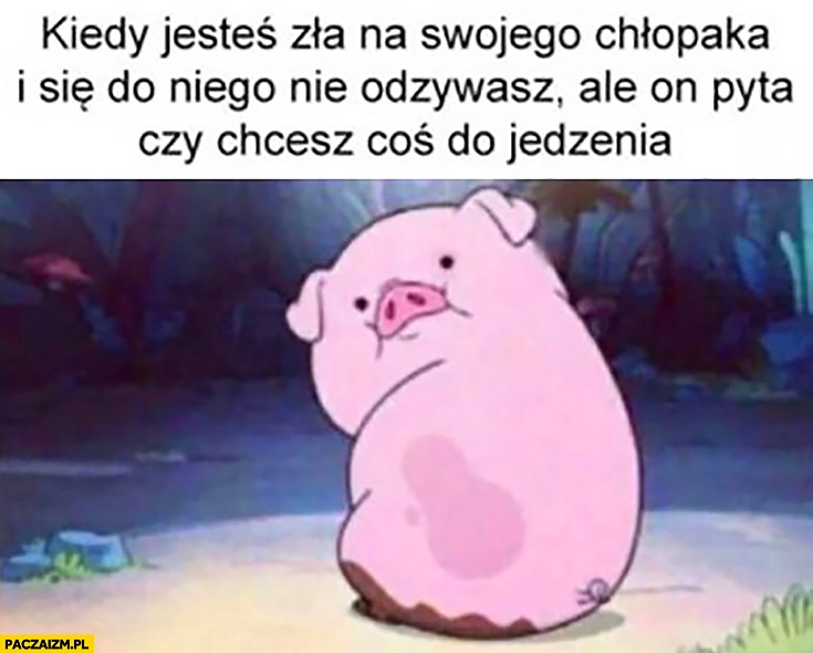 
    Kiedy jesteś zła na swojego chłopaka i się do niego nie odzywasz ale on pyta czy chcesz coś do jedzenia