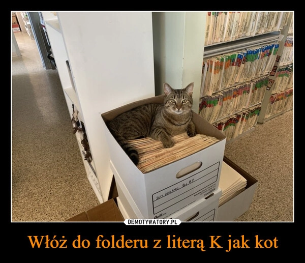 
    Włóż do folderu z literą K jak kot