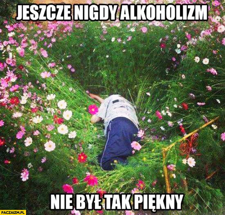 
    Jeszcze nigdy alkoholizm nie był tak piękny leży pijany w kwiatkach