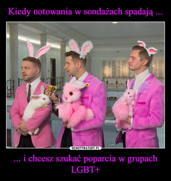 
    Kiedy notowania w sondażach spadają ... ... i chcesz szukać poparcia w grupach LGBT+