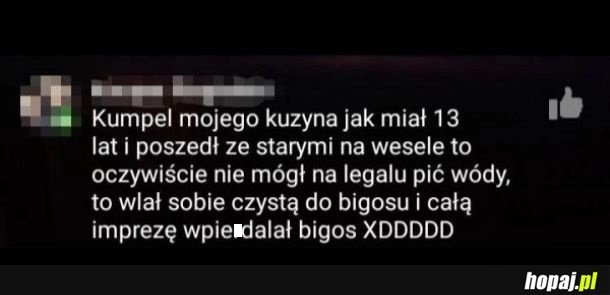 
    Bigos z wkładką