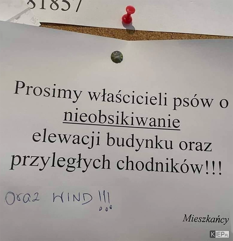 
    Prośba do właścicieli psów 