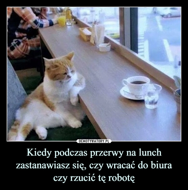 
    Kiedy podczas przerwy na lunch zastanawiasz się, czy wracać do biura czy rzucić tę robotę