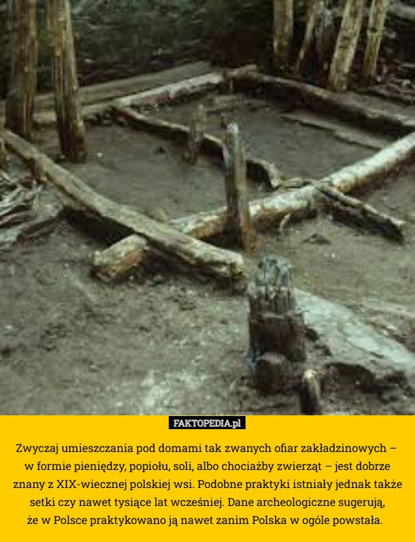 
    Zwyczaj umieszczania pod domami tak zwanych ofiar zakładzinowych – 
w formie