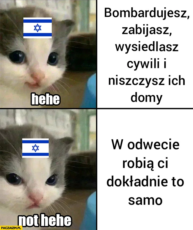 
    Izrael kiedy bombardujesz zabijasz wysiedlasz cywili hehe vs kiedy w odwecie robią ci to samo not hehe kot kotek