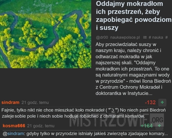 
    
			Mokradła					