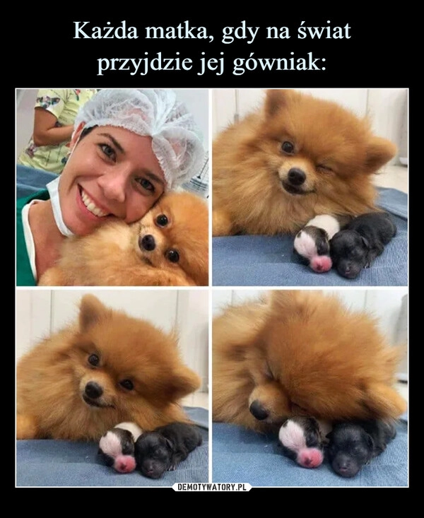 
    Każda matka, gdy na świat
przyjdzie jej gówniak: