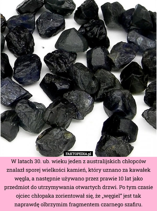 
    W latach 30. ub. wieku jeden z australijskich chłopców znalazł sporej wielkości