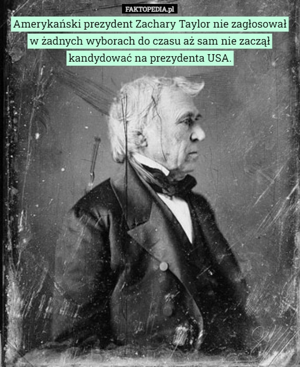 
    Amerykański prezydent Zachary Taylor nie zagłosował
w żadnych wyborach do