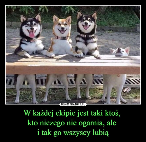 
    W każdej ekipie jest taki ktoś, 
kto niczego nie ogarnia, ale 
i tak go wszyscy lubią