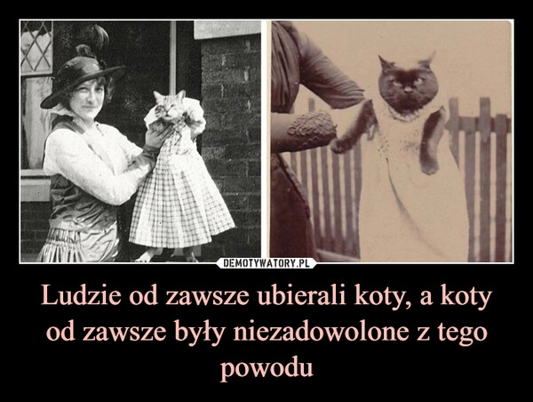 
    
Ludzie od zawsze ubierali koty, a koty od zawsze były niezadowolone z tego powodu 