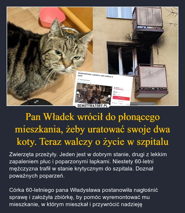 
    Pan Władek wrócił do płonącego mieszkania, żeby uratować swoje dwa koty. Teraz walczy o życie w szpitalu