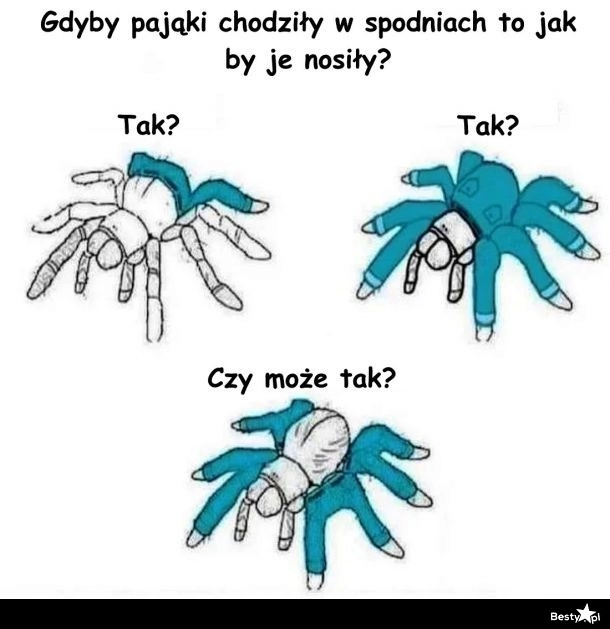 
    Gdyby pająki nosiły spodnie 